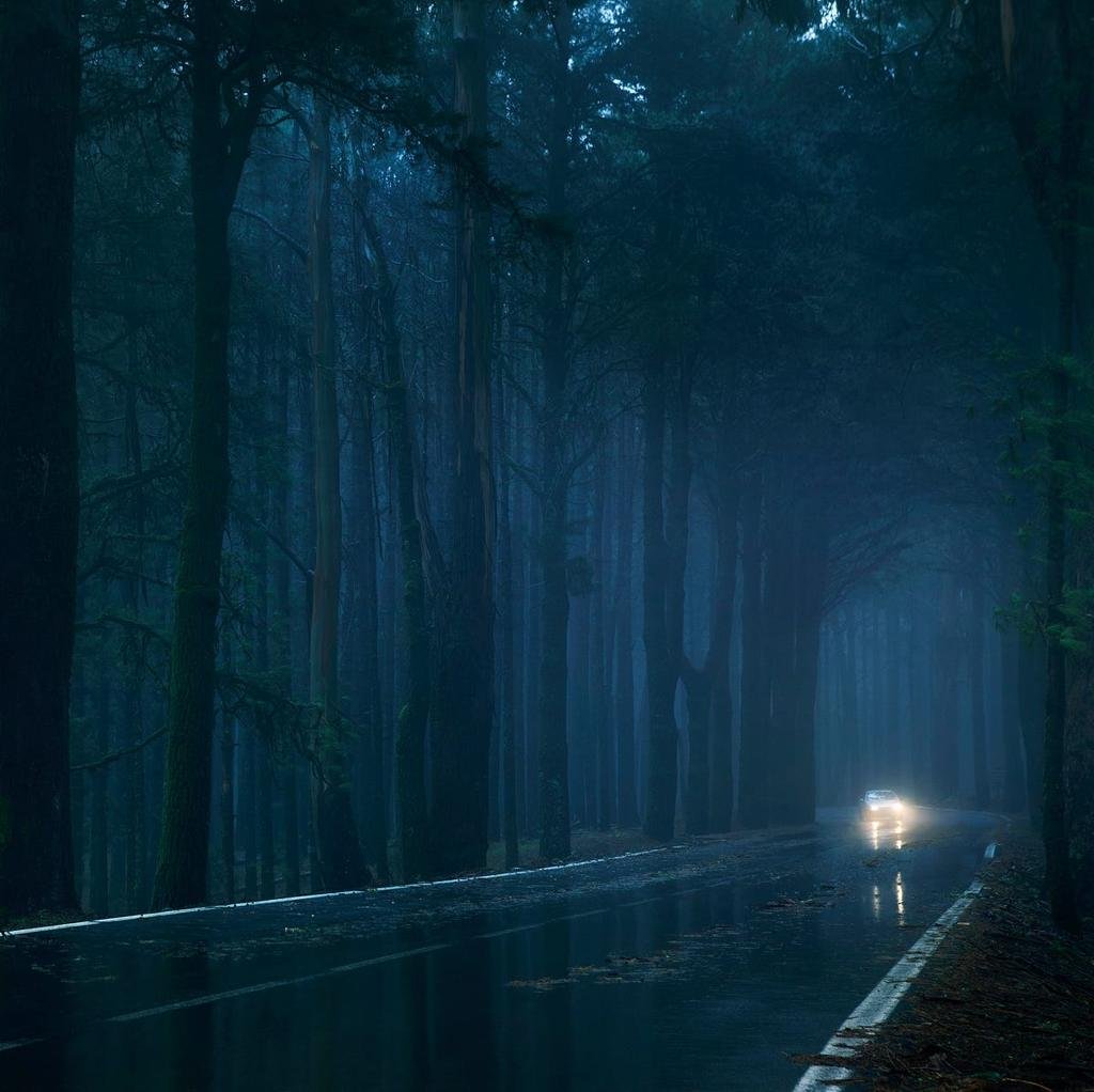 👻 Part 5: The Guest House in the Forest – A Chilling Indian Horror Story