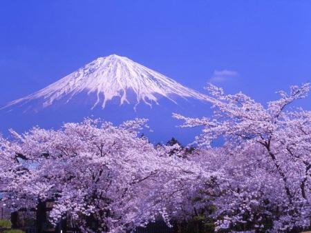 🇯🇵 Japan – The Amazing Country Where Ancient Tradition Meets the Future