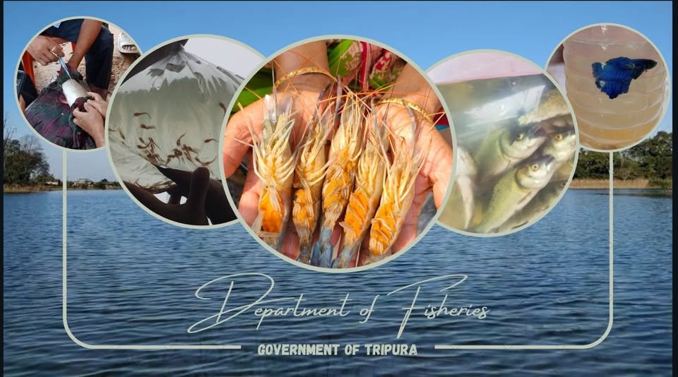 department fisher