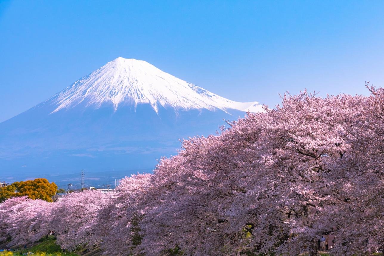 🇯🇵 Japan – The Amazing Country Where Ancient Traditions Meet the Modern World