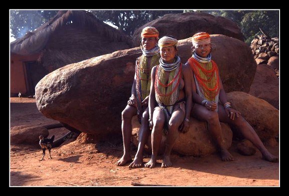 tribal image